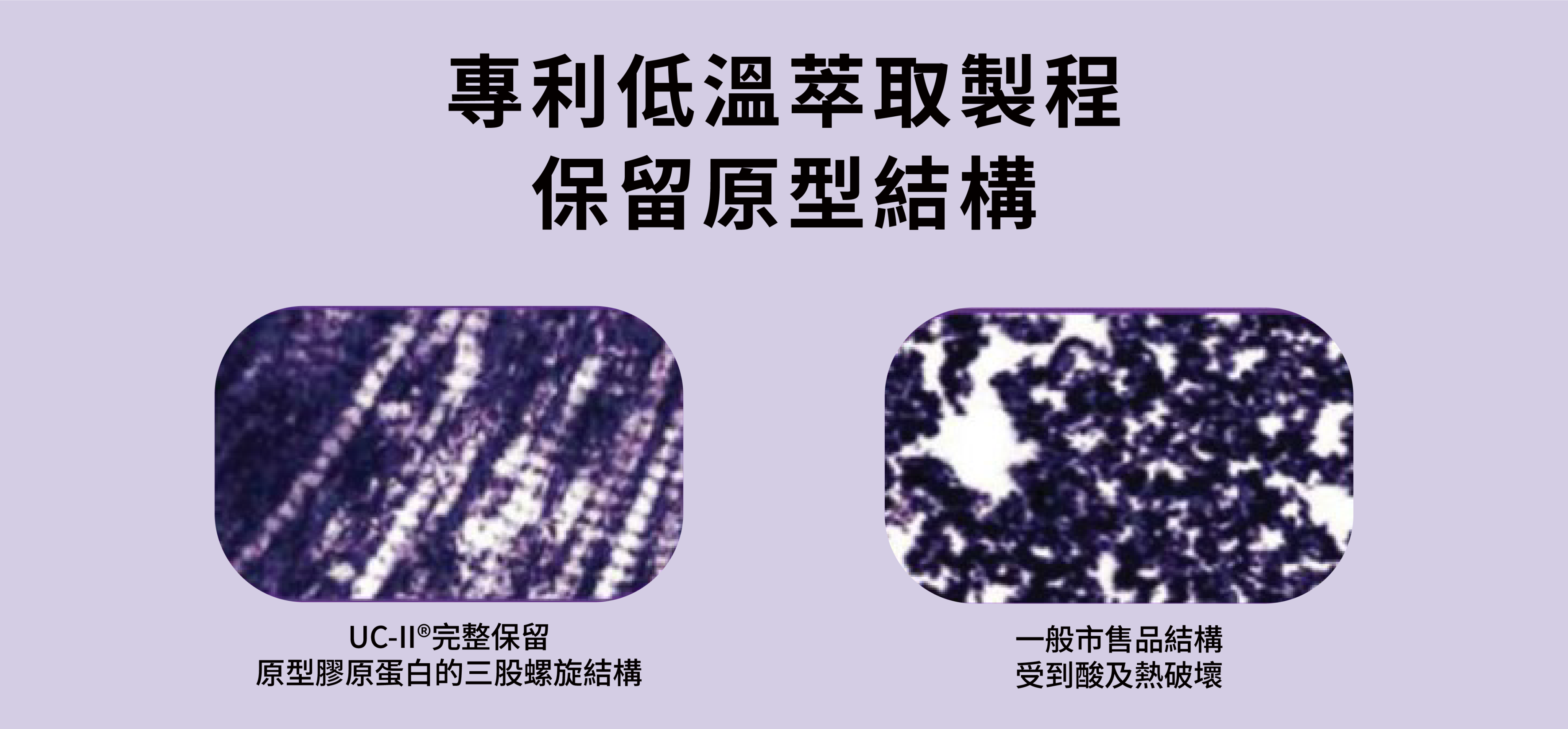 一張對比圖，左邊顯示經「專利低溫萃取製程」處理的UC-II®膠原蛋白，結構完整呈現三股螺旋，右邊顯示一般市售產品的膠原蛋白，其結構因酸及熱而受到破壞。